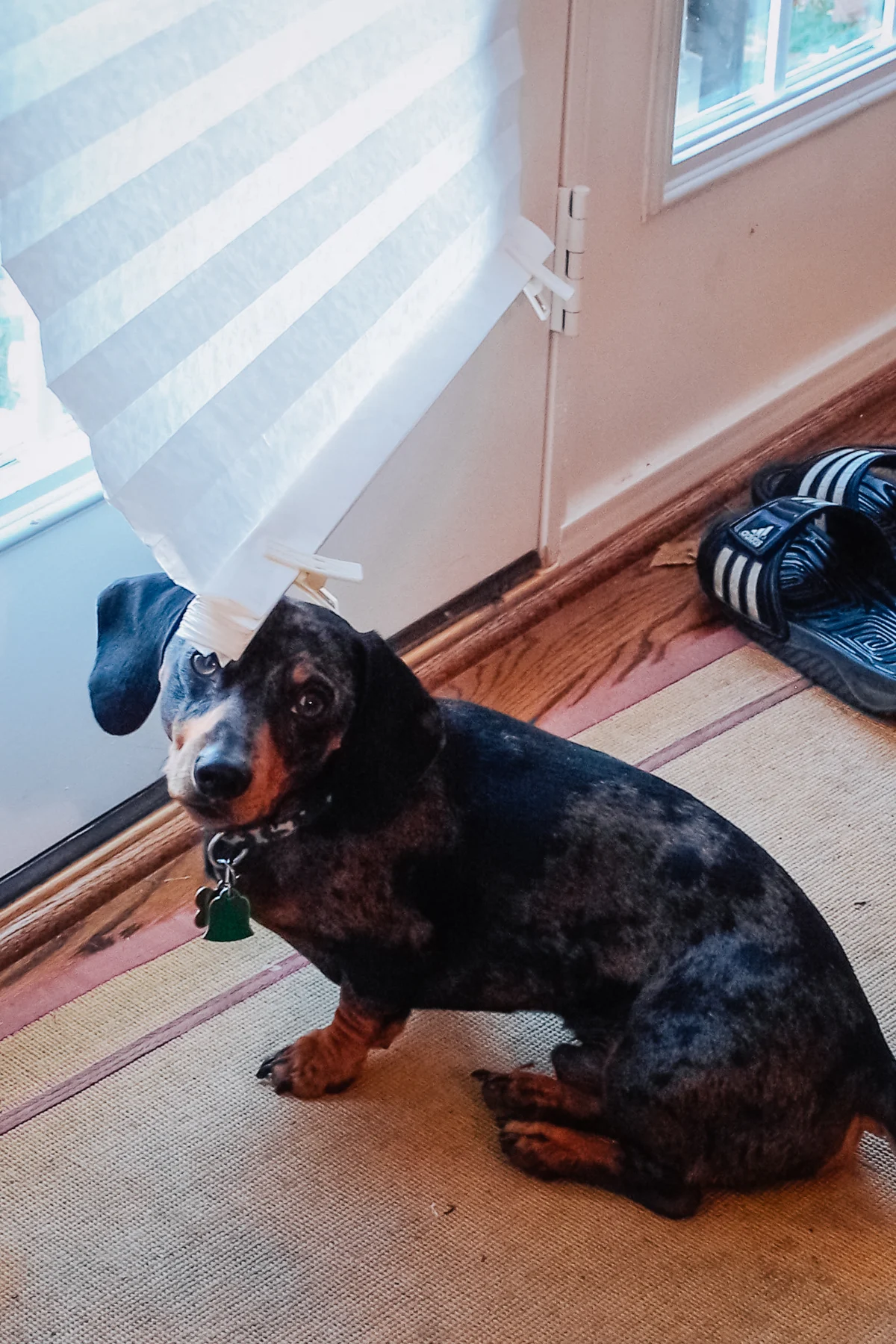 Keeping an eye on things.