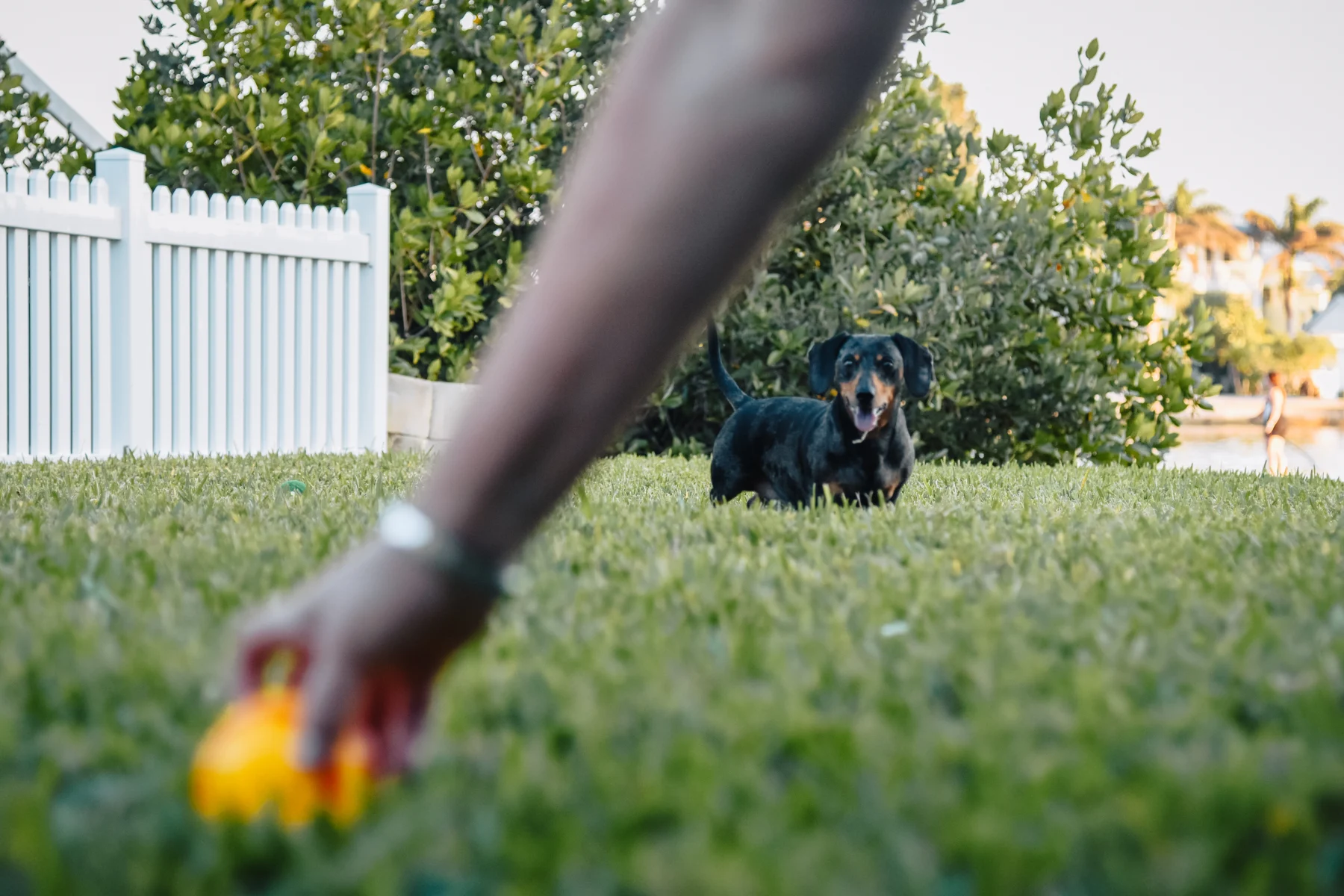 Eyes on the ball.